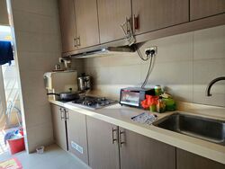 Yio Chu Kang Road (D26), Terrace #525647541